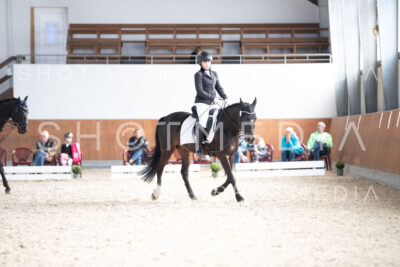 0218-250607-172748-DressurreiterWB