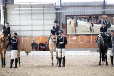 0219-250607-163943-Fuehrzuegel