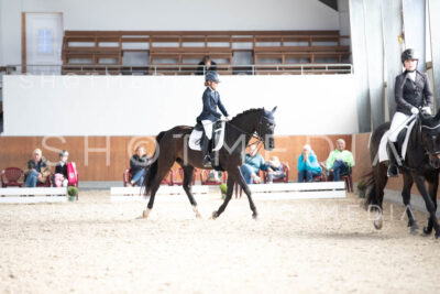 0219-250607-172749-DressurreiterWB