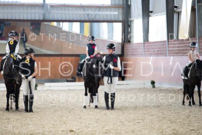 0224-250607-164029-Fuehrzuegel