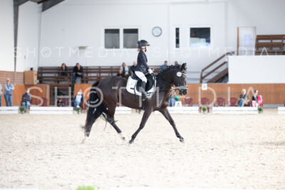 0225-250607-172811-DressurreiterWB