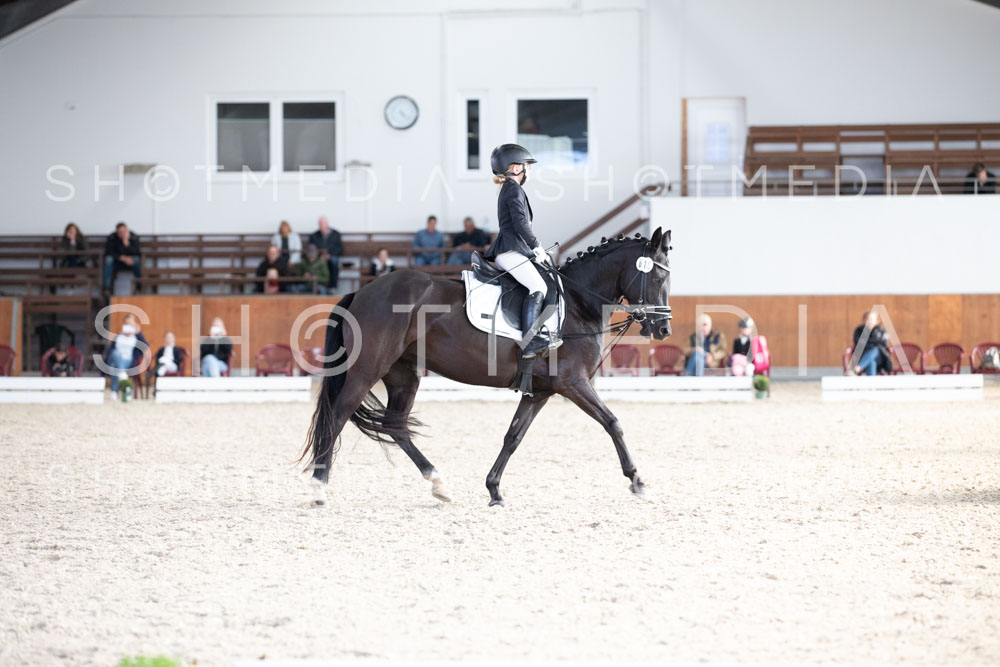 0226-250607-172811-DressurreiterWB