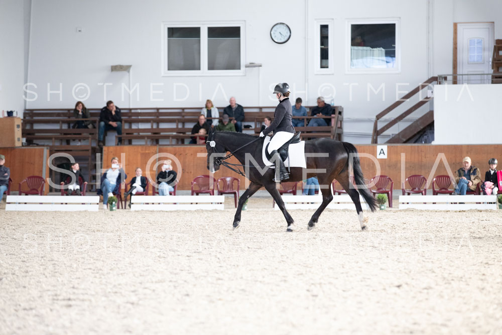 0227-250607-172814-DressurreiterWB