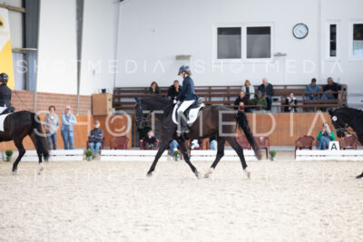 0228-250607-172816-DressurreiterWB