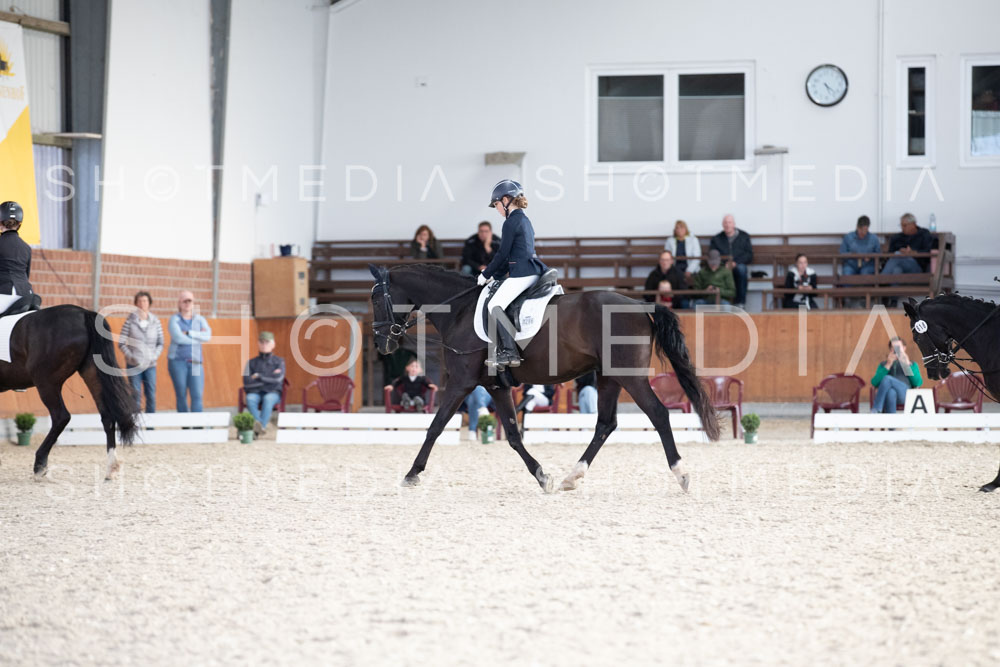 0228-250607-172816-DressurreiterWB