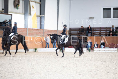 0229-250607-172818-DressurreiterWB