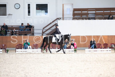 0232-250607-172824-DressurreiterWB