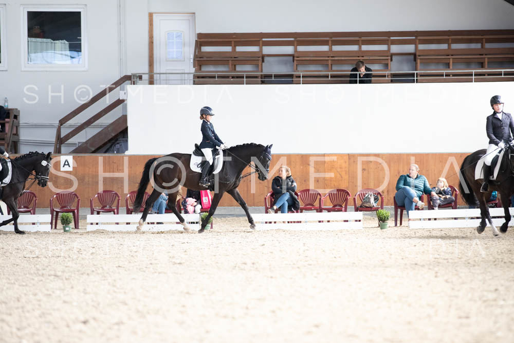 0234-250607-172827-DressurreiterWB