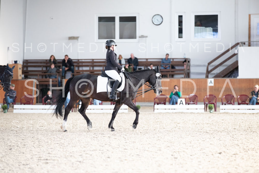 0236-250607-172910-DressurreiterWB