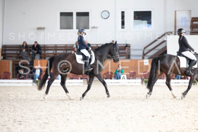 0237-250607-172912-DressurreiterWB