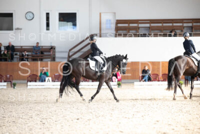 0238-250607-172914-DressurreiterWB