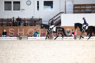 0239-250607-172938-DressurreiterWB