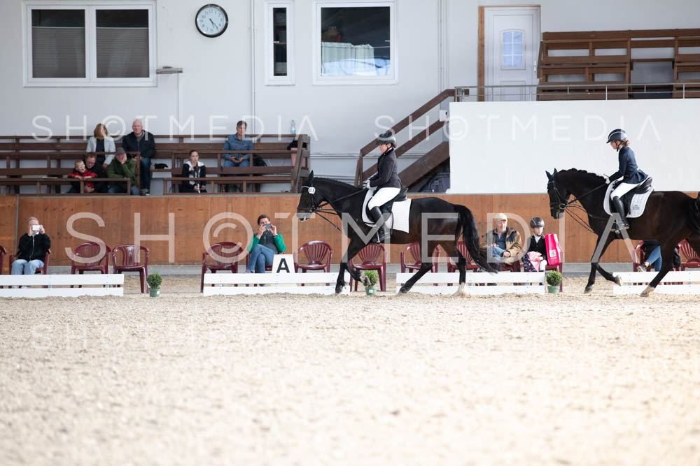 0239-250607-172938-DressurreiterWB