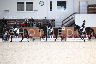 0240-250607-172940-DressurreiterWB