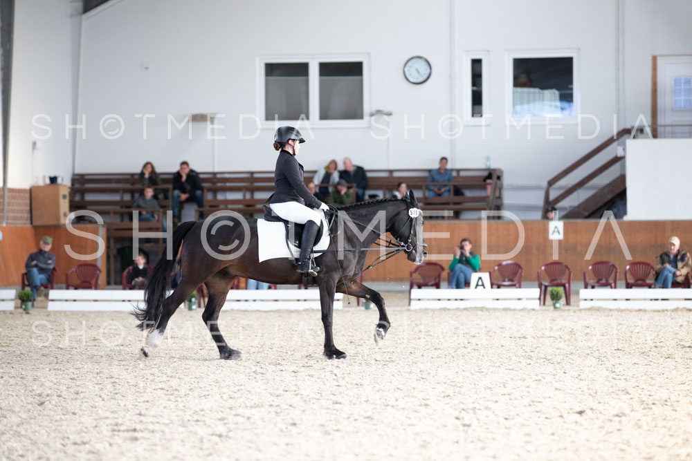 0242-250607-172947-DressurreiterWB