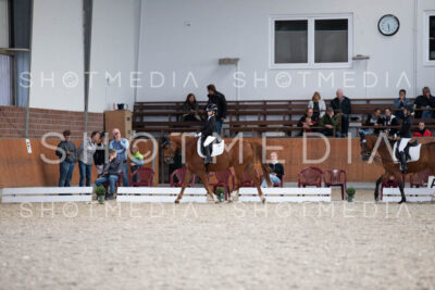 0255-250607-173527-DressurreiterWB