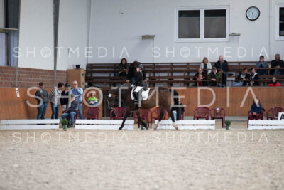 0256-250607-173531-DressurreiterWB