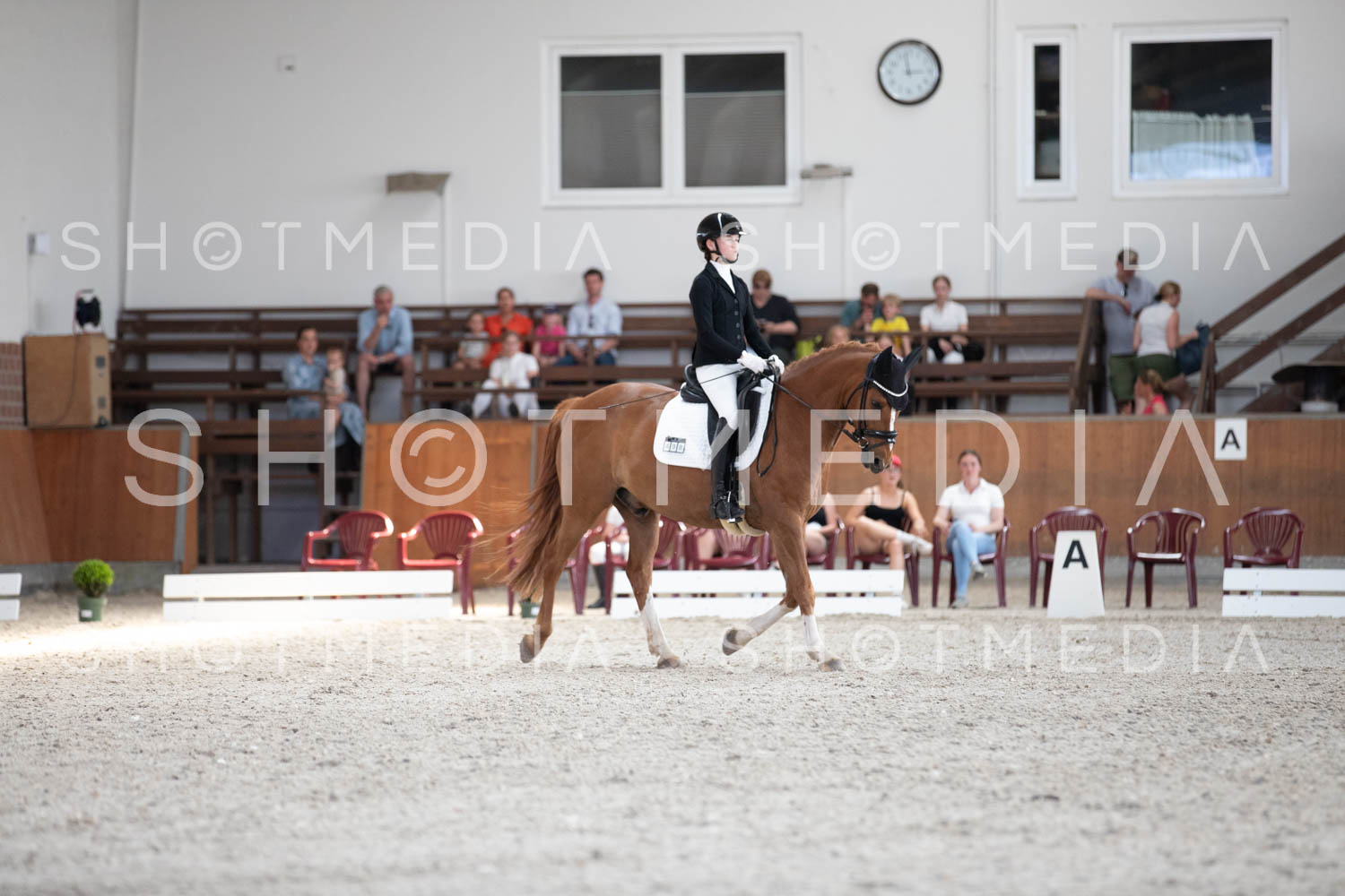 0262-RSV26-KLDressurreiter