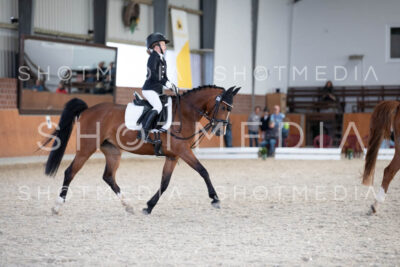 0264-250607-173556-DressurreiterWB