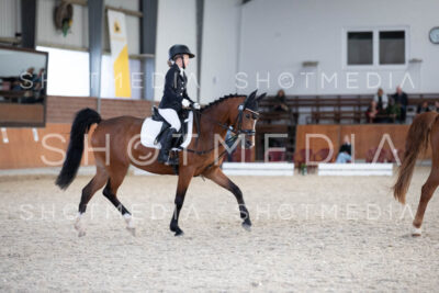 0265-250607-173557-DressurreiterWB