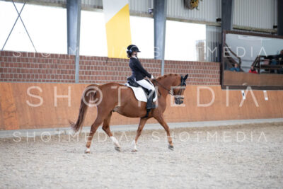 0271-250607-173641-DressurreiterWB