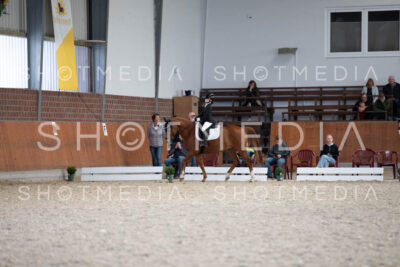 0272-250607-173656-DressurreiterWB