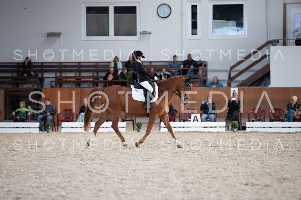 0273-250607-173704-DressurreiterWB