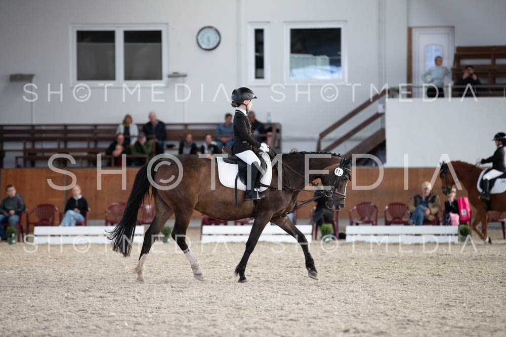 0275-250607-173711-DressurreiterWB