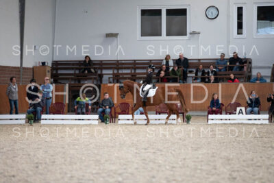 0276-250607-173714-DressurreiterWB