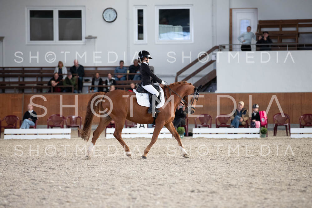 0278-250607-173724-DressurreiterWB