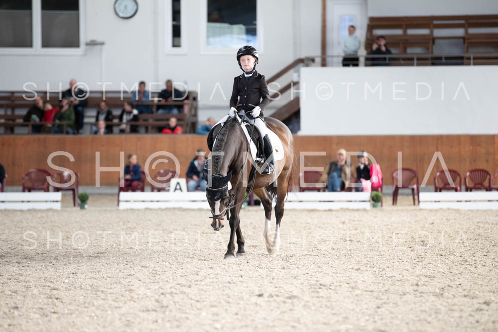 0287-250607-174050-DressurreiterWB