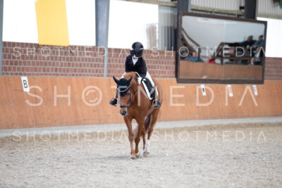 0288-250607-174052-DressurreiterWB