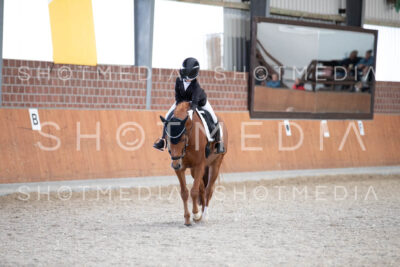 0289-250607-174052-DressurreiterWB