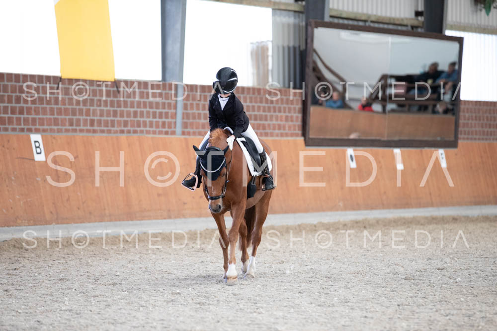 0290-250607-174052-DressurreiterWB