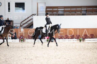 0294-250607-174547-DressurreiterWB