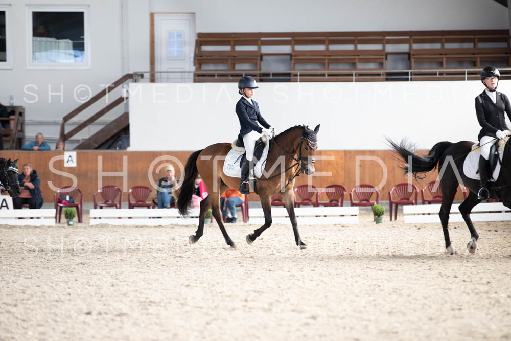 0296-250607-174548-DressurreiterWB