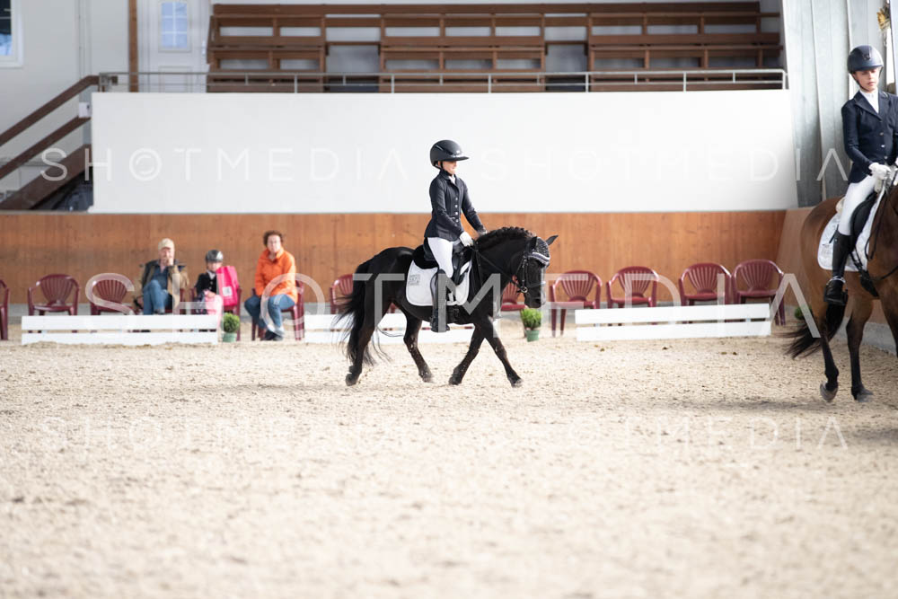 0298-250607-174550-DressurreiterWB