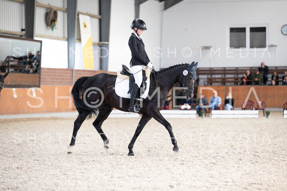 0299-250607-174607-DressurreiterWB