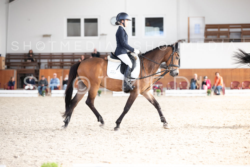 0302-250607-174609-DressurreiterWB