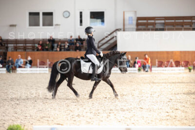 0303-250607-174611-DressurreiterWB