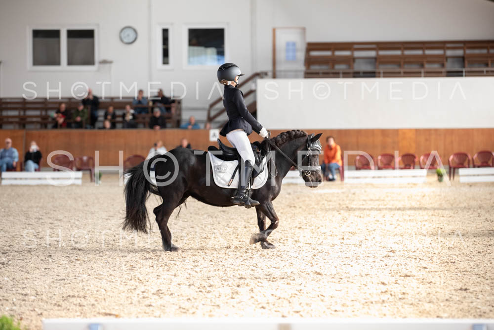 0304-250607-174611-DressurreiterWB