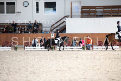 0307-250607-174630-DressurreiterWB