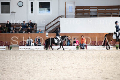 0308-250607-174630-DressurreiterWB