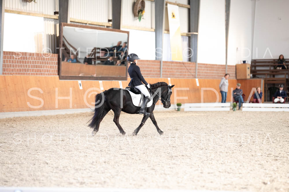 0310-250607-174658-DressurreiterWB