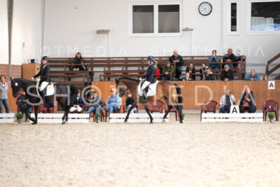 0311-250607-174709-DressurreiterWB