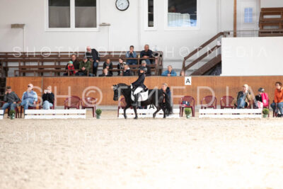 0312-250607-174711-DressurreiterWB