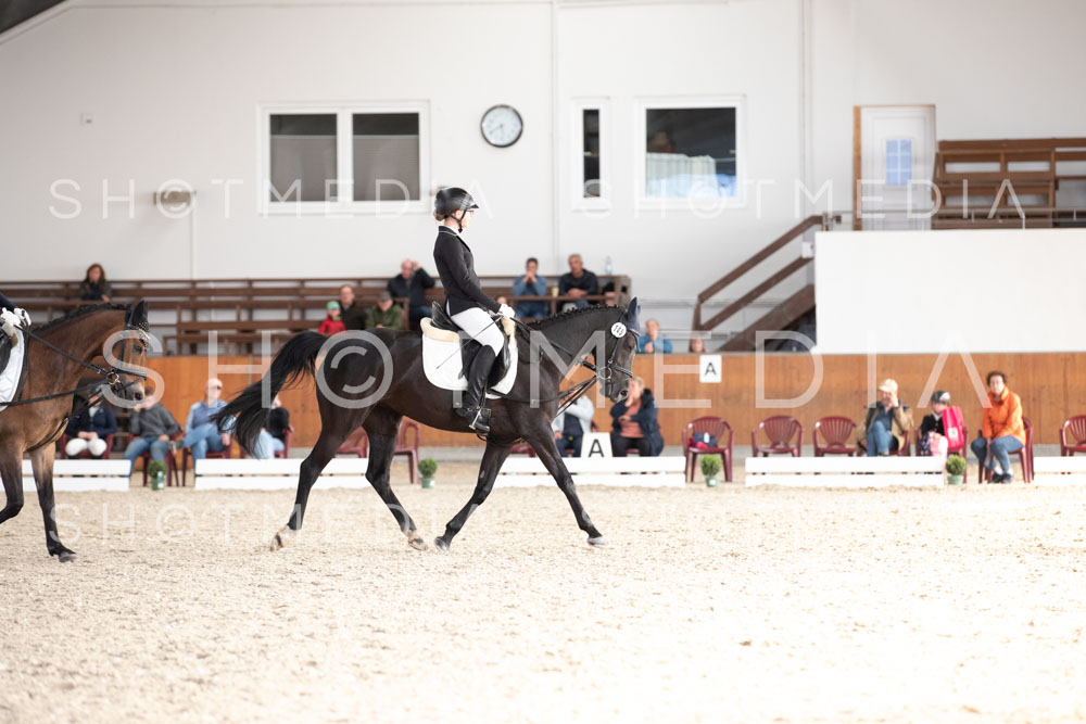 0313-250607-174718-DressurreiterWB