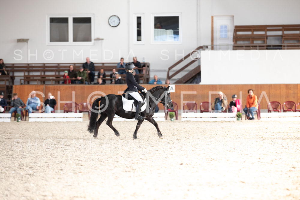 0314-250607-174722-DressurreiterWB