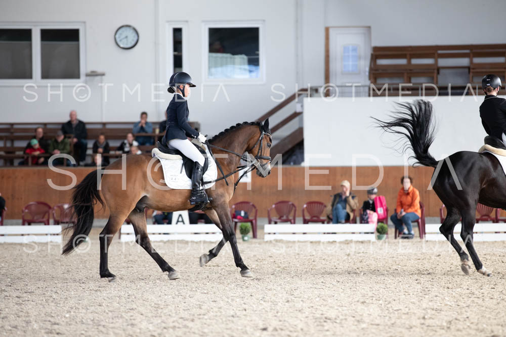 0315-250607-174742-DressurreiterWB