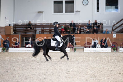 0316-250607-174743-DressurreiterWB